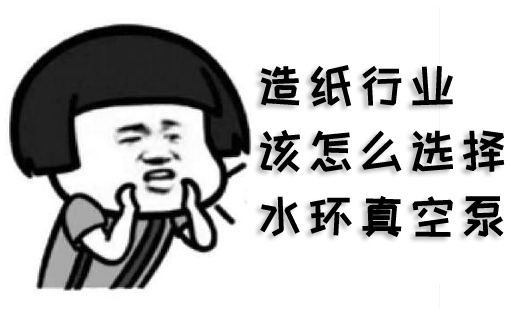 造紙行業該怎么選擇水環真空泵(圖1)